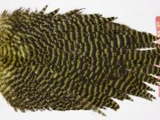 WHS14 Whiting Wet Fly Hen Saddle Grizzly Olive