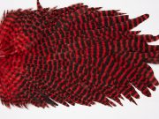 WHS15 Whiting Wet Fly Hen Saddle Grizzly Red