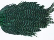 WHS16 Whiting Wet Fly Hen Saddle Grizzly Peacock