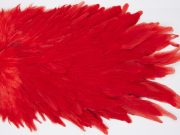 WHS17 Whiting Wet Fly Hen Saddle Red