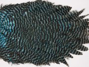 WHS18 Whiting Wet Fly Hen Saddle Grizzly Silver Dr. Blue