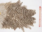 WHS26 Whiting Wet Fly Hen Saddle Dun Grizzly