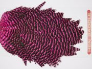 WHS27 Whiting Wet Fly Hen Saddle Grizzly Pink