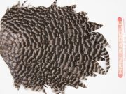 WHS28 Whiting Wet Fly Hen Saddle Grizzly Medium Dun