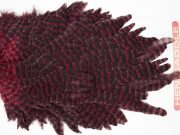 WHS3 Whiting Wet Fly Hen Saddle Grizzly Claret