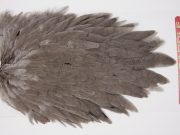 WHS4 Whiting Wet Fly Hen Saddle Dark Dun