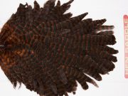 WHS5 Whiting Wet Fly Hen Saddle Grizzly Coachman Brown