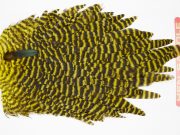 WHS6 Whiting Wet Fly Hen Saddle Grizzly Yellow