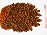 WHS7 Whiting Wet Fly Hen Saddle Grizzly Orange