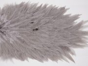 WHS9 Whiting Wet Fly Hen Saddle Medium Dun