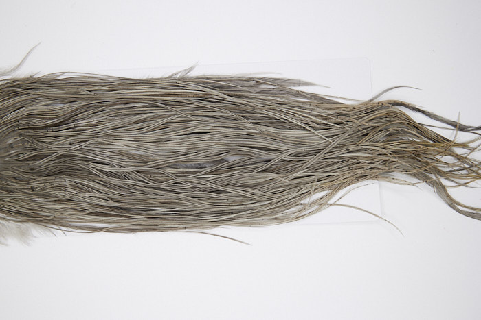 4788 Hebert Dry Fly Hackle Pro Grade Rooster Saddle Medium Grey Dun Ties Size 12-14