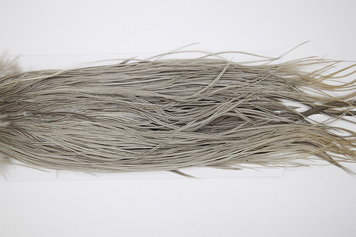 4796 Hebert Dry Fly Hackle Pro Grade Rooster Saddle Light Grey Dun Ties Size 12-14