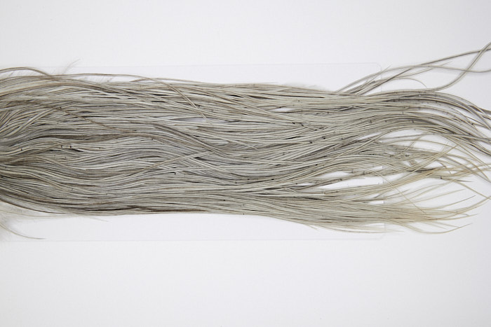 4798 Hebert Dry Fly Hackle Pro Grade Rooster Saddle Light Grey Dun Ties Size 10-14