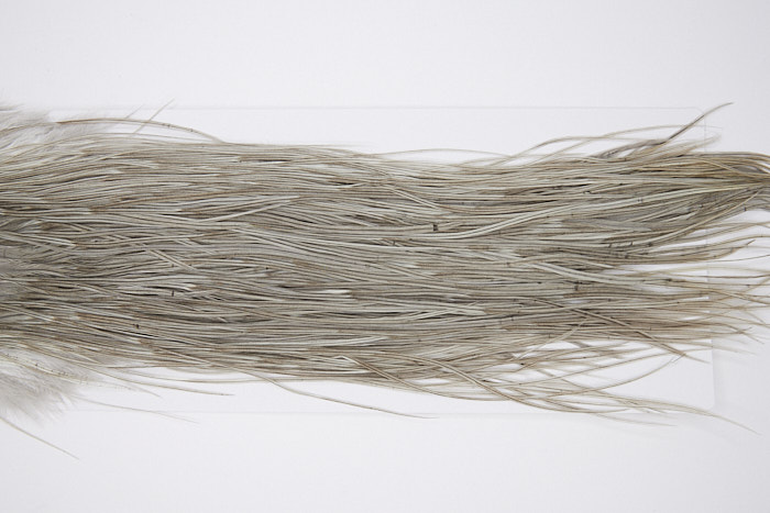 4801 Hebert Dry Fly Hackle Pro Grade Rooster Saddle Light Grey Dun Ties Size 10-14