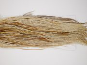 4849 Hebert Dry Fly Hackle Bronze Grade Rooster Saddle Unique Variant Ties Size 12-14