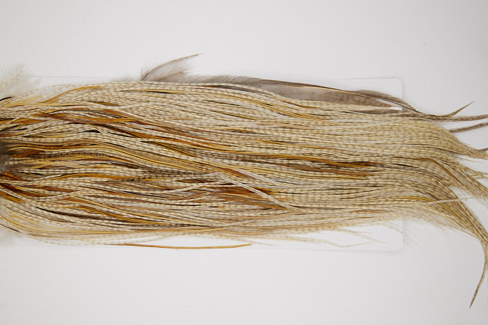 4849 Hebert Dry Fly Hackle Bronze Grade Rooster Saddle Unique Variant Ties Size 12-14