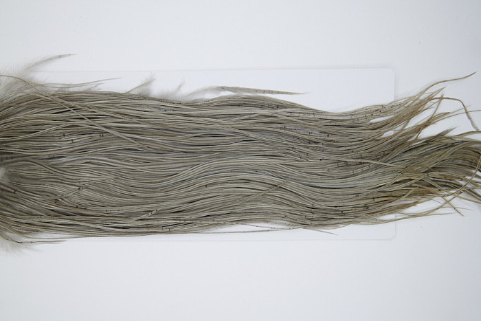 4866 Hebert Dry Fly Hackle Bronze Grade Rooster Saddle Light Grey Dun Ties Size 12-14