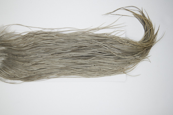 4889 Hebert Dry Fly Hackle Silver Grade Rooster Saddle Light Grey Dun Ties Size 12-14