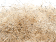 Senyo's Dirty  Bird Dubbing- Gold Digger Tan