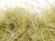 Senyo's Dirty  Bird Dubbing- Olive