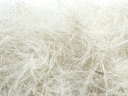 Senyo's Dirty  Bird Dubbing- White