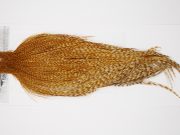 10143 Beaverkill Dry Fly Hackle Rooster Cape Barred Ginger Ties Size 8-24