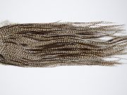 10170 Beaverkill Dry Fly Hackle Rooster Saddle Dun Grizzly Ties Size 12-14