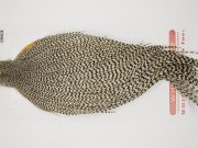 10216 Whiting Dry Fly Hackle Pro Grade Rooster Cape Grizzly Ties Size 10-20