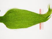 10247 Whiting Dry Fly Hackle Bronze Grade Rooster Cape Grizzly Chartreuse Ties Size 10-20