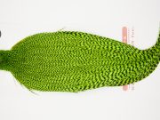 10248 Whiting Dry Fly Hackle Bronze Grade Rooster Cape Grizzly Chartreuse Ties Size 8-20