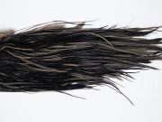 10288 Beaverkill Dry Fly Hackle Rooster Saddle Black Ties Size 10-14