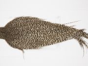 4965 Beaverkill Dry Fly Hackle Rooster Cape Grizzly Ties Size 8-20