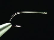 Alec Jackson- North Country Hook