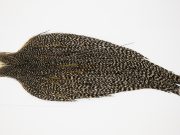 10316 JimsFlyCo Dry Fly Hackle Grade 2 Rooster Cape Grizzly Variant Ties Size 10-24