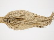 10327 JimsFlyCo Dry Fly Hackle Grade 2 Rooster Cape Grizzly Dun Variant Ties Size 10-20