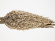 10329 JimsFlyCo Dry Fly Hackle Grade 2 Rooster Cape Grizzly Dun Variant Ties Size 10-24