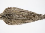 10427 JimsFlyCo Dry Fly Hackle Grade 1 Rooster Cape Grizzly Dun Variant Ties Size 10-22