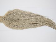 10503 JimsFlyCo Dry Fly Hackle Rhodium Rooster Cape Grizzly Variant Ties Size 12-24