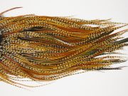 10581 JimsFlyCo Dry Fly Hackle Grade 2 Rooster Saddle Cree Variant Ties Size 14