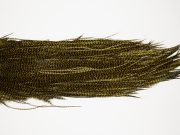 10666 Whiting Dry Fly Hackle Silver Grade Rooster Saddle Grizzly Dark Olive Ties Size 12-14