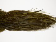 10667 Whiting Dry Fly Hackle Silver Grade Rooster Saddle Grizzly Dark Olive Ties Size 12-14