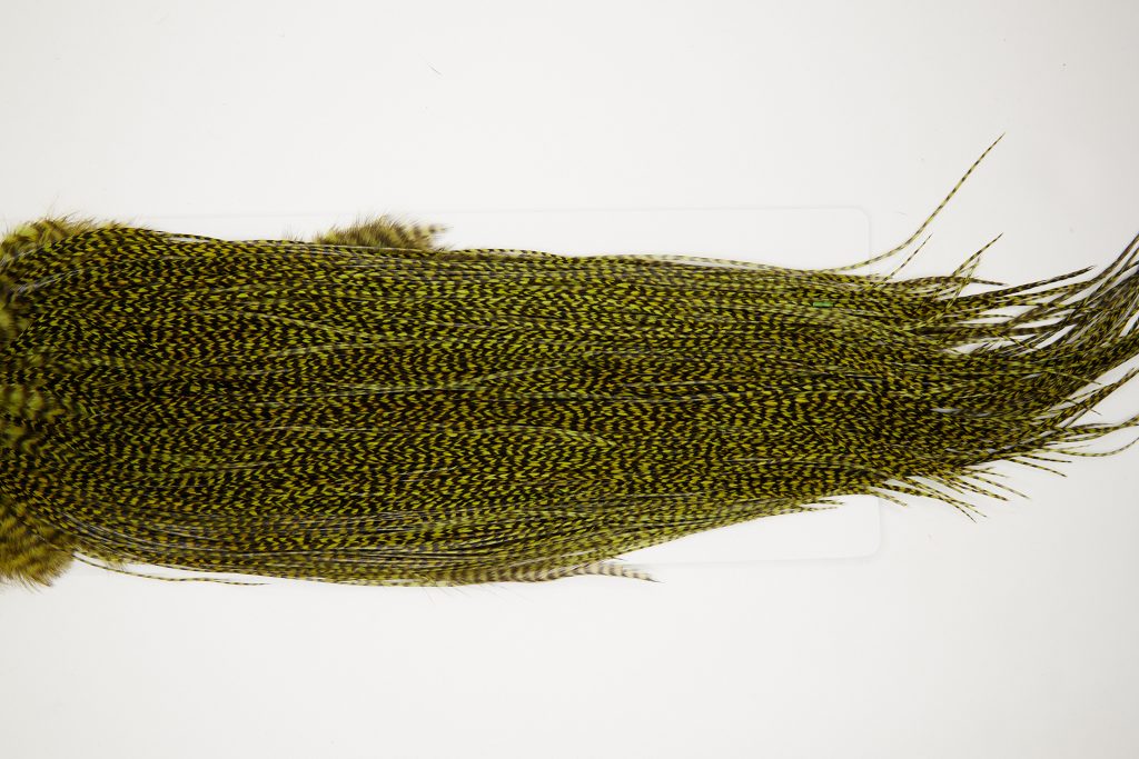 10707 Whiting Dry Fly Hackle Silver Grade Rooster Saddle Grizzly Olive Ties Size 14-16