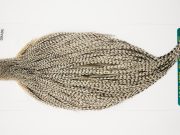 10997 Hebert Dry Fly Hackle Pro Grade Rooster Saddle Grizzly Variant Ties Size 10-20