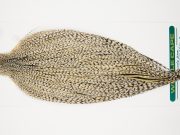 10998 Hebert Dry Fly Hackle Pro Grade Rooster Saddle Grizzly Variant Ties Size 10-22