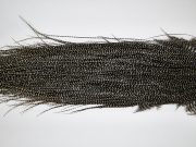 11110 Whiting Wet Fly Hackle Gold Grade Midge Saddle Grizzly Ties Size 18-22