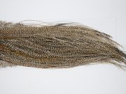 11135 Whiting Wet Fly Hackle Bronze Grade Midge Saddle Dun Grizzly Ties Size 18-20