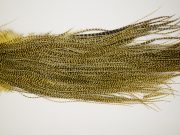 11195 Whiting Dry Fly Hackle Silver Grade Rooster Saddle Grizzly Pale Yellow Ties Size 14-16
