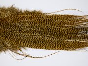 11230 Whiting Dry Fly Hackle Pro Grade Rooster Saddle Grizzly March Brown Ties Size 14-16