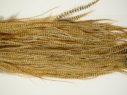 11243 Whiting Dry Fly Hackle Pro Grade Rooster Saddle Barred Medium Ginger Ties Size 16-18