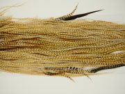 11244 Whiting Dry Fly Hackle Pro Grade Rooster Saddle Barred Medium Ginger Ties Size 16-18